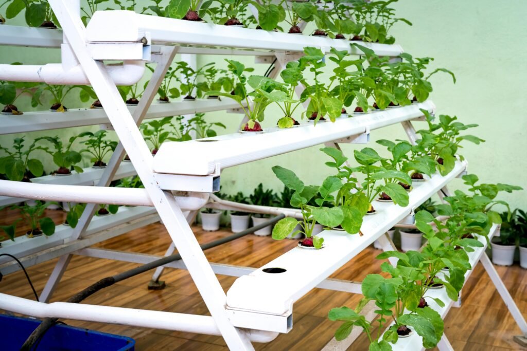 pexels-photo-2176158-2176158 Vibrant hydroponic setup indoors showcasing healthy plant growth on multiple levels.